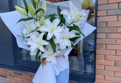 Яндекс. Картинки. 