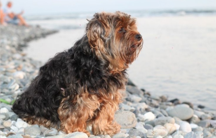 29 июля 2010г. - 6 декабря 2025г.(3:27). 