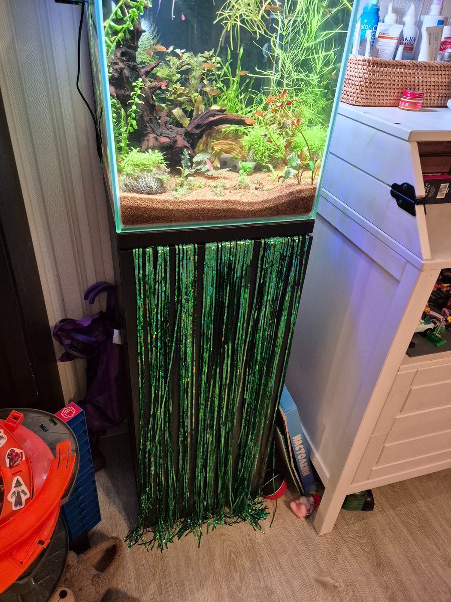 Аквариум украсила зелёным дождиком. Откуда у меня дома зелёный дождик? Я не знаю. Ещё и синий нашла 😁