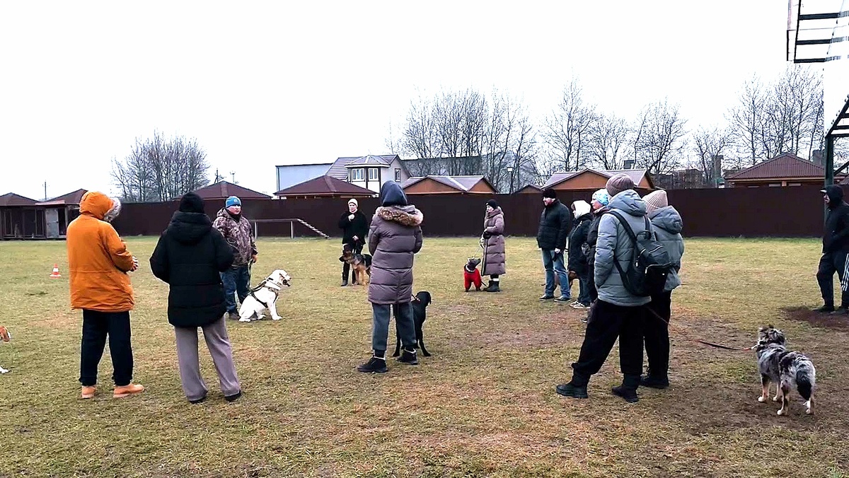 Дрессировка в кинологическом центре "Атаман"