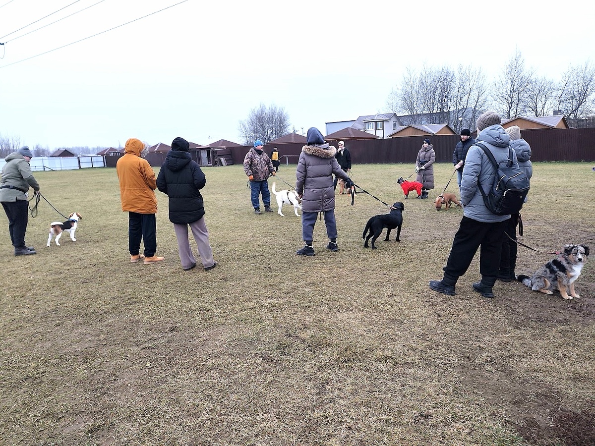 Дрессировка в кинологическом центре "Атаман"