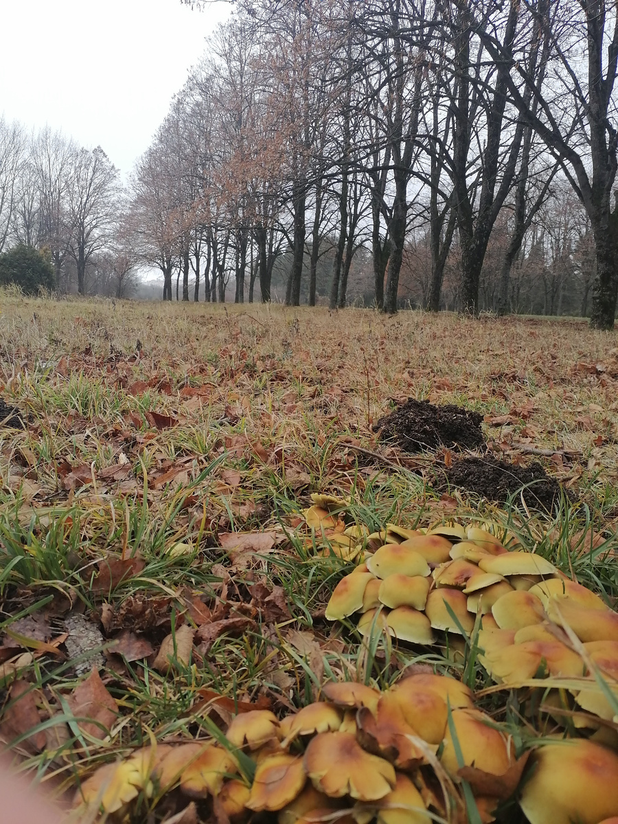 Как взыскать алименты бывшему нетрудоспособному нуждающемуся супругу. 