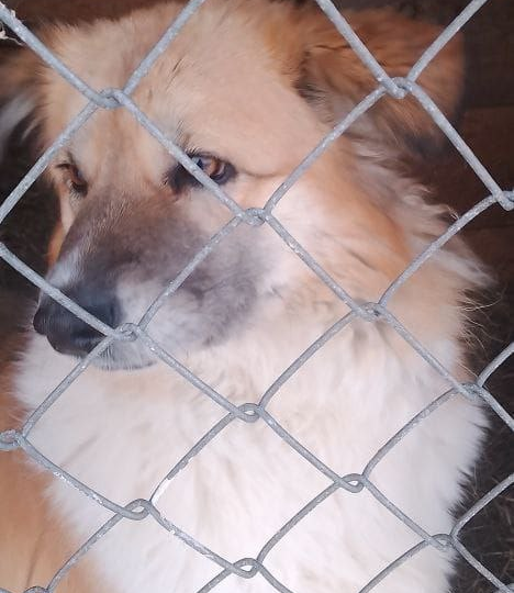 Мороз крепчает...А мы строим, строим, строим... 🏘️