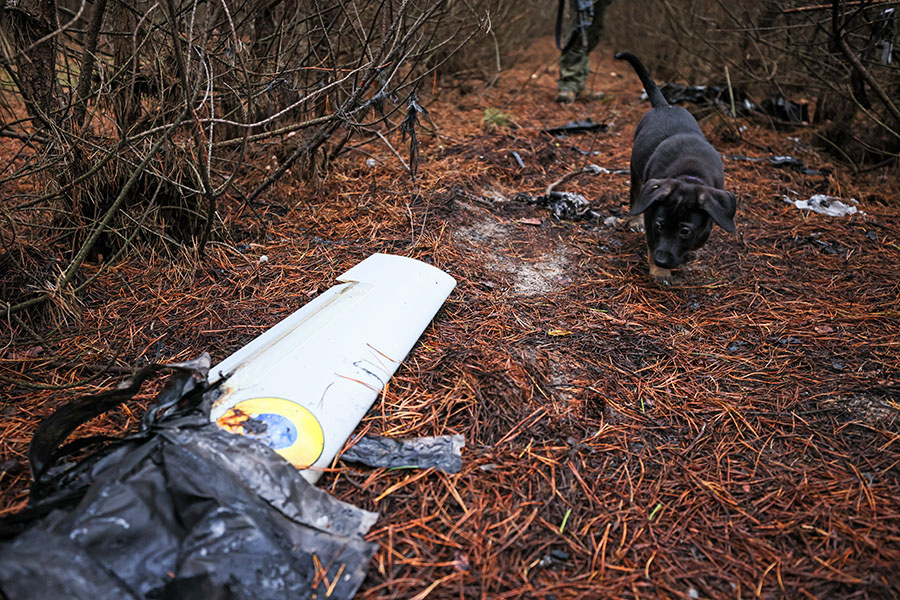    © Александр Река/ТАСС