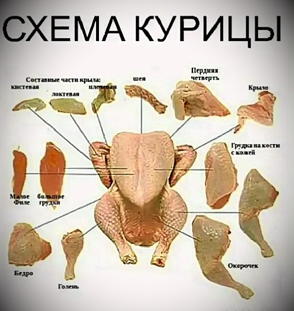 Конструктор