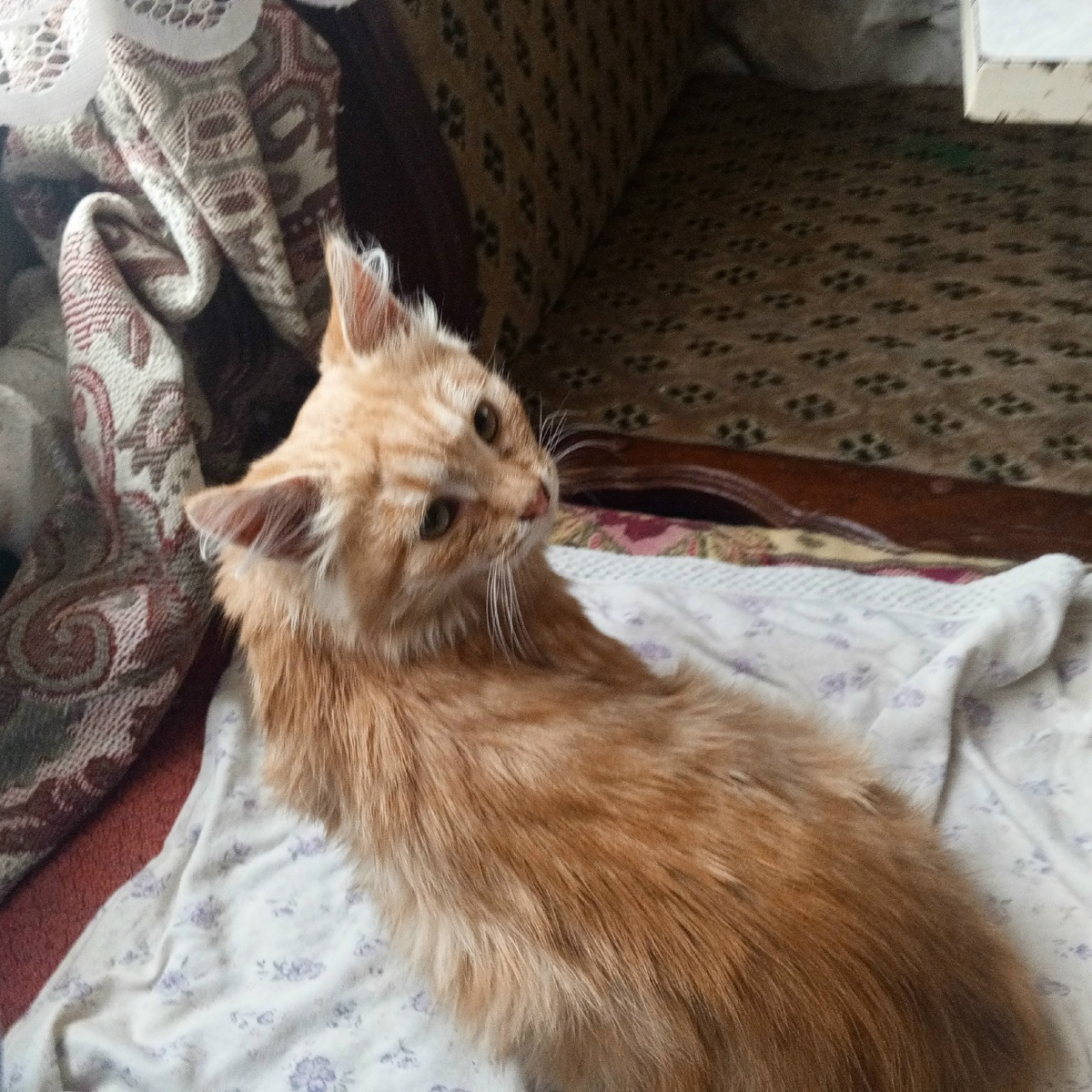 Меня звали? 