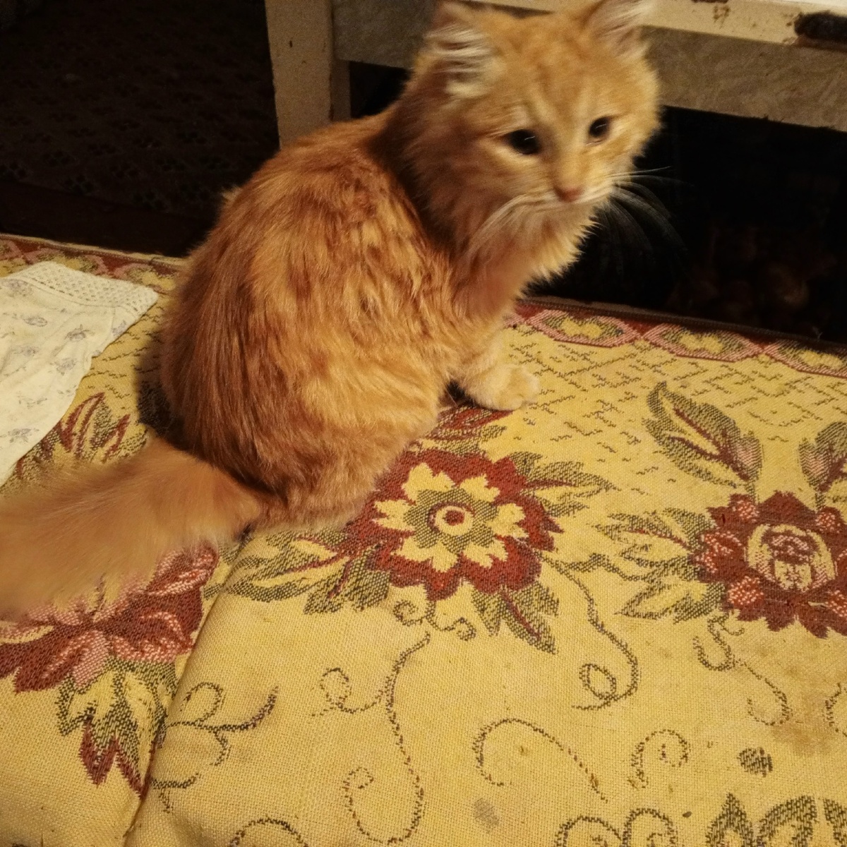 а что у тебя в руке?