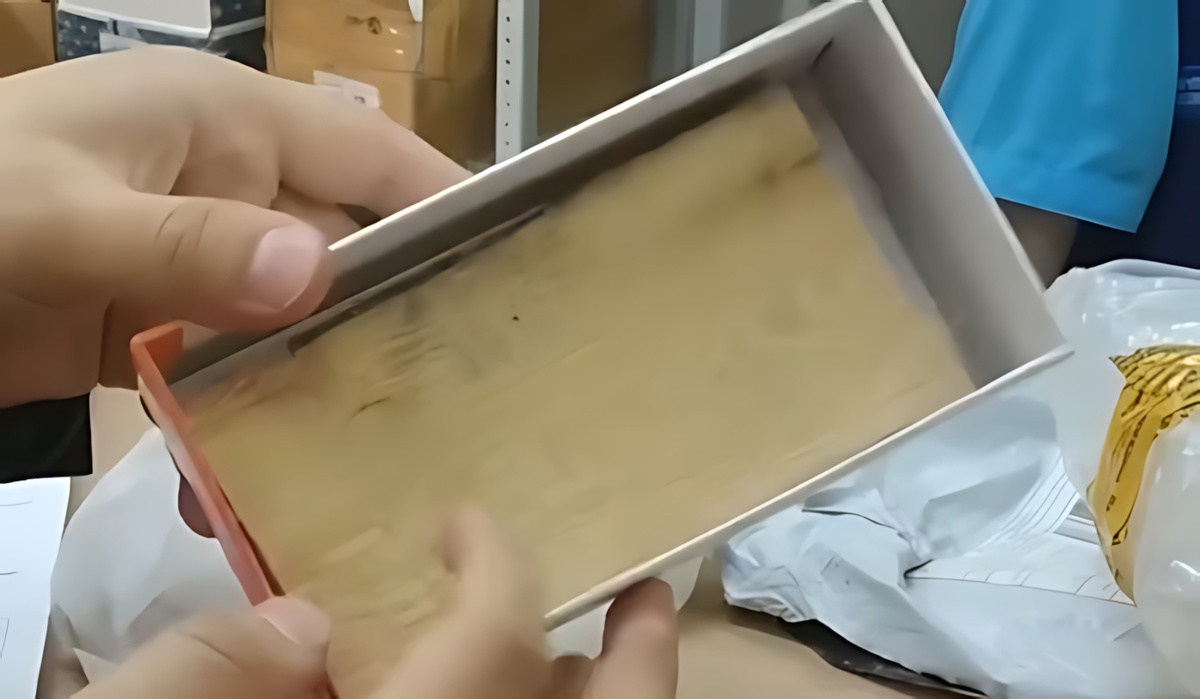 Фото автора.