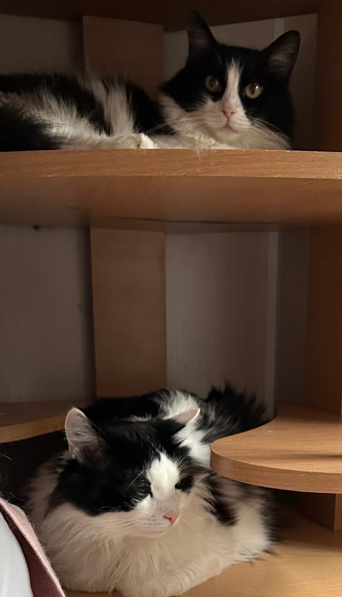 Мама Мари и сынок Ричи неразлучники, всегда вместе