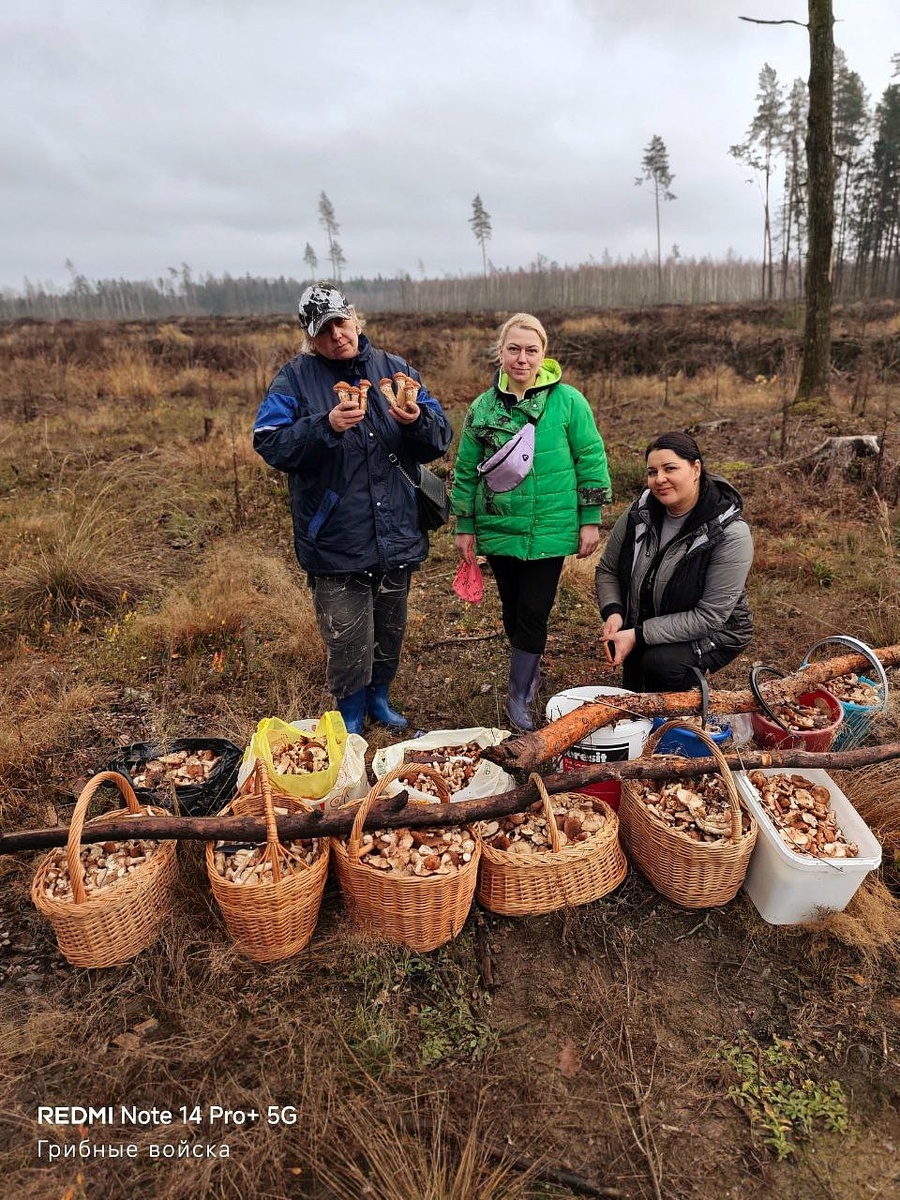 НОЯБРЬСКИЙ АНШЛАГ. Группа Грибные войска Беларуси