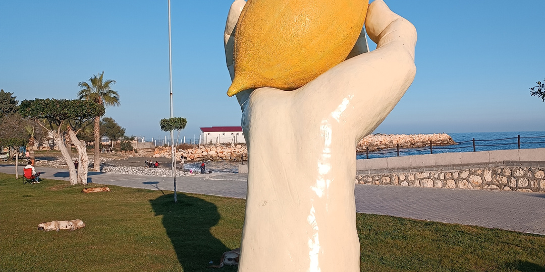 🍊 Фруктовый календарь Турции: что попробовать в разное время года и зачем стоит ехать именно за фруктами