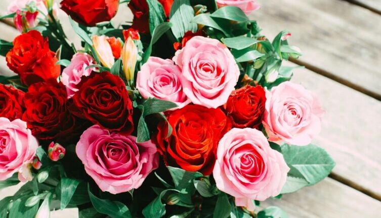 Фото: Nika Benedictova on Unsplash
