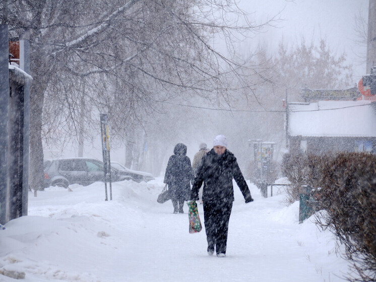     Фото: медиасток.рф