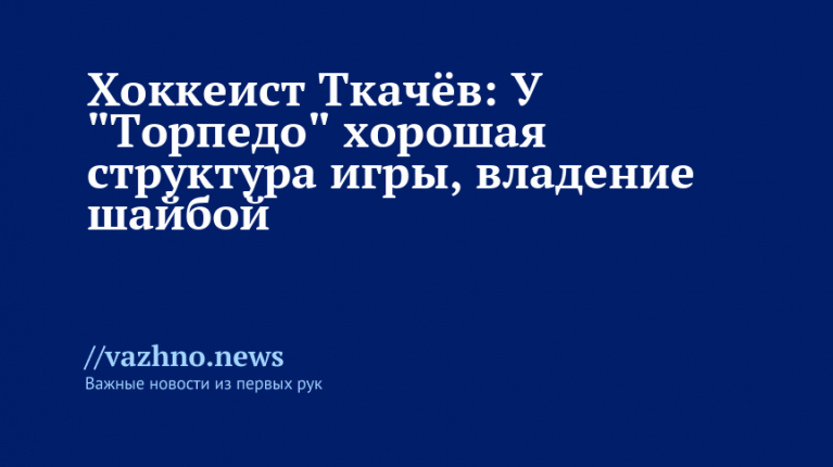    Фото: vk.com/ХК Торпедо