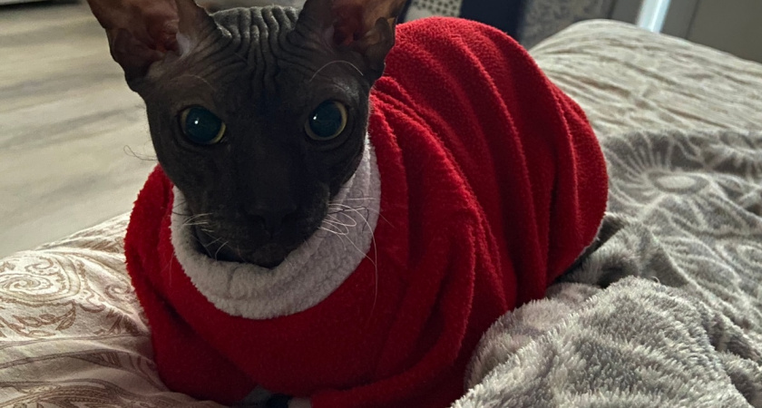    фото из архива редакции