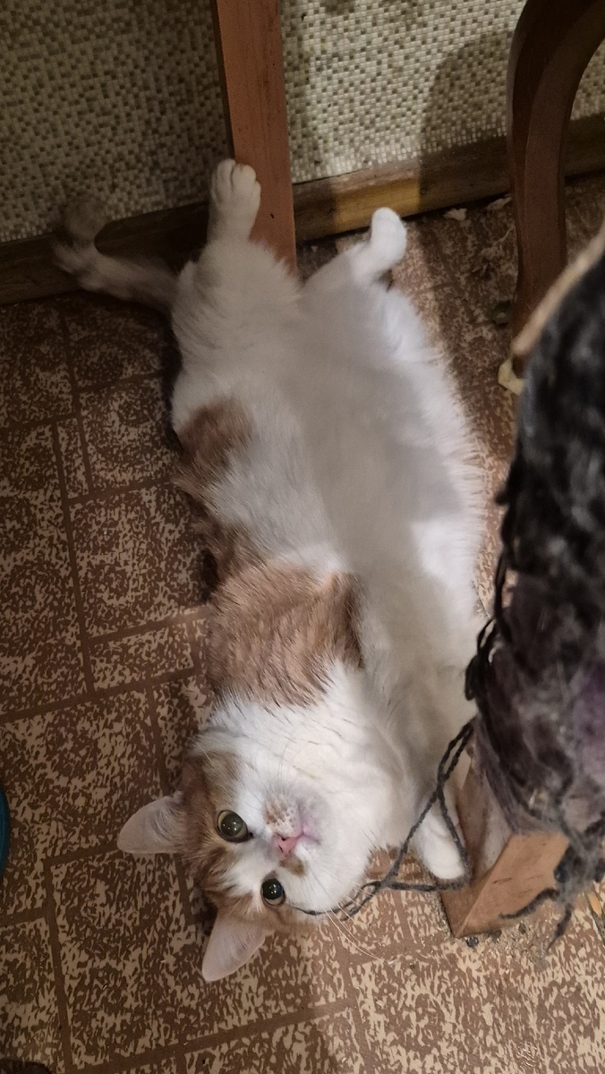 фоточки сегодня только такие