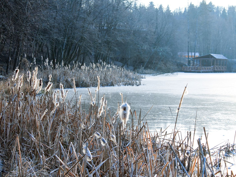    Фото: медиасток.рф