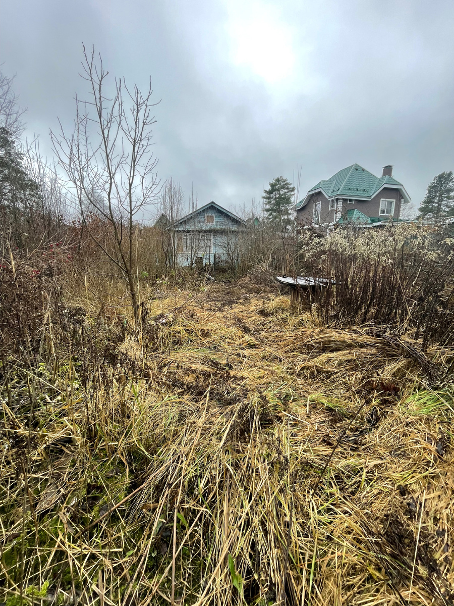 По всей видимости, уютные участки для отдыха в моей голове выглядят так 😆