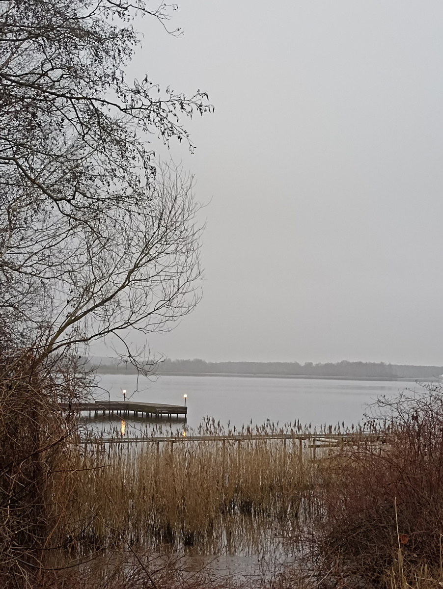 Акватория. Фото автора