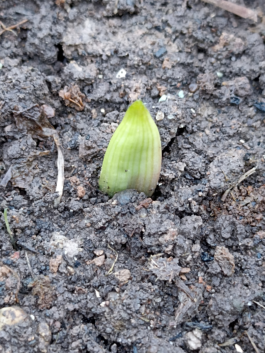 Прям не зима, а весна во всей красе! 