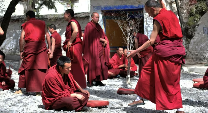 Их яркие одежды и сухие деревца делают все таким кинематографичным