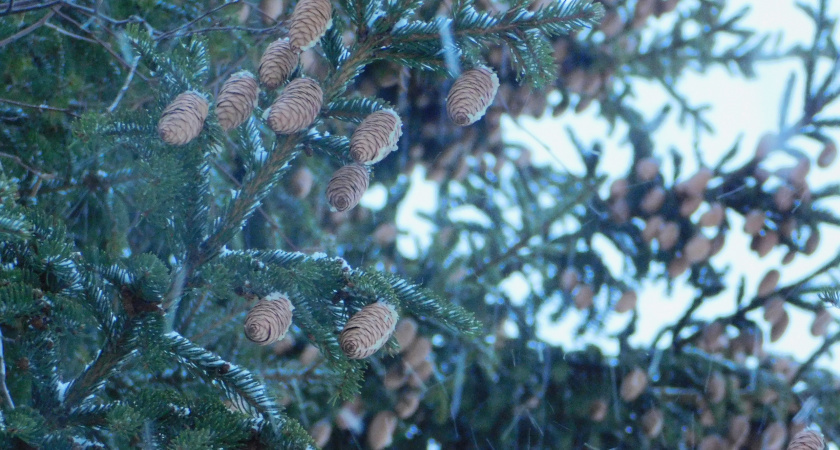    Фото из архива редакции