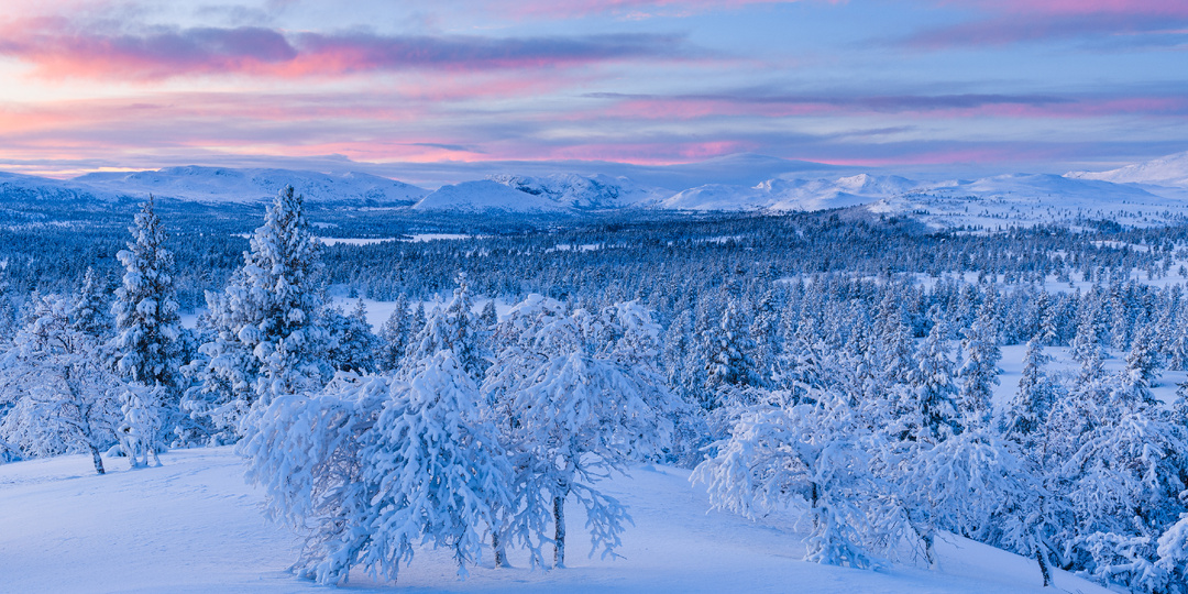 Что нельзя делать 8 декабря, иначе могут одолеть болезни: народные приметы на день Клима Холодного