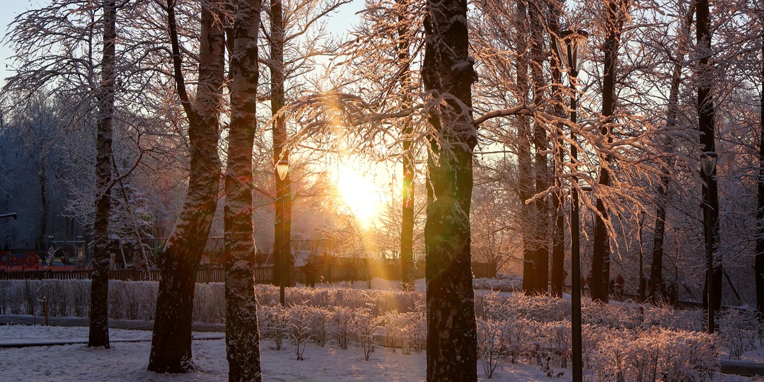 30-градусные морозы и снегопады вернутся в Приморье: даты