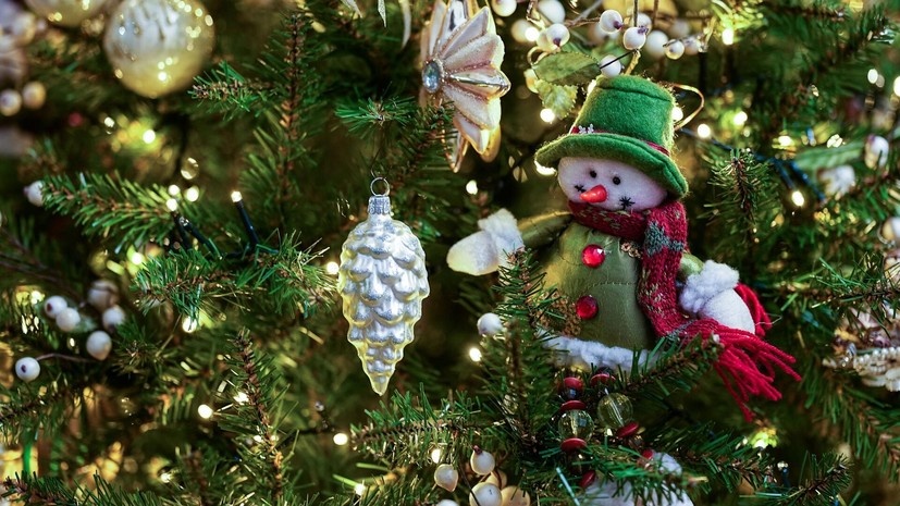 В Госдуме предупредили о штрафах за украшение подъезда к Новому году