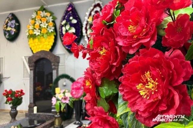    Фото: kuzbass.aif.ru/ Анна Городкова