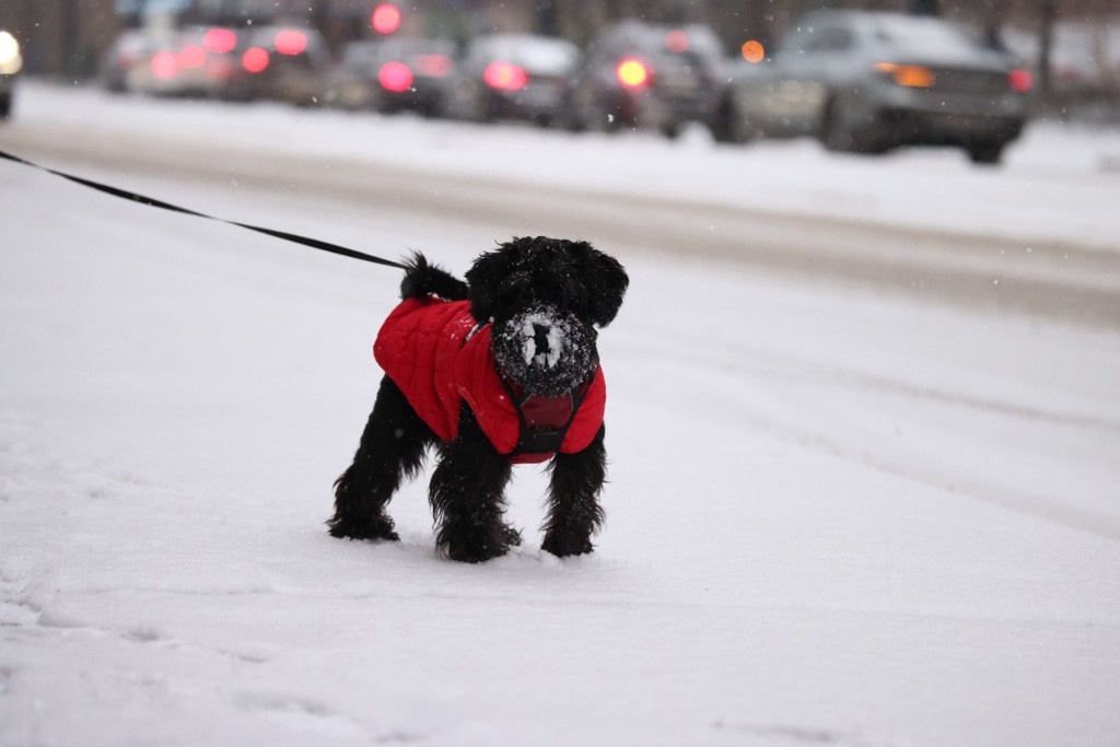   Фото © Анастасия Романова / Абзац