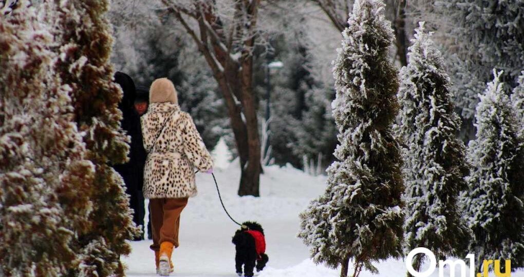 От -5 до -24: синоптики дали прогноз на новую рабочую неделю в Омске