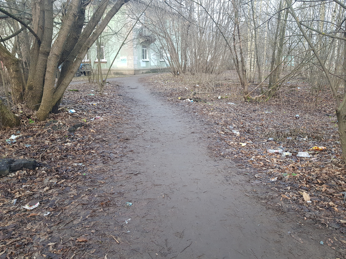 Одна из улочек нашего города. Задворки, так сказать...