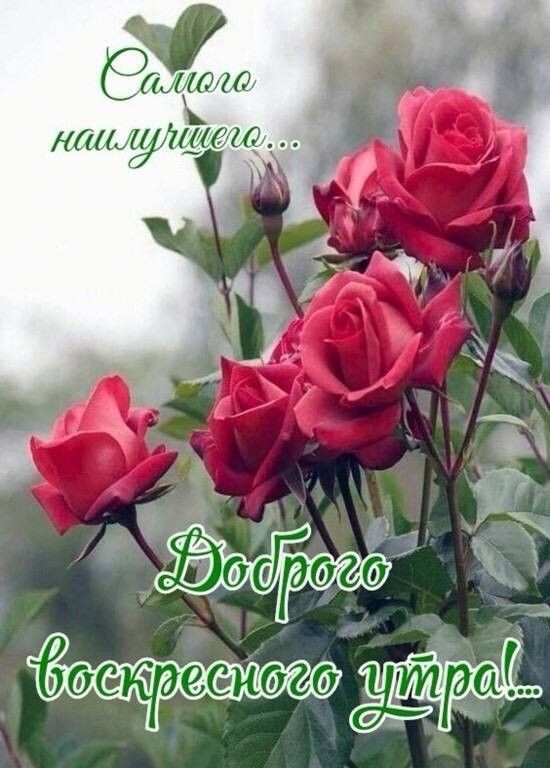 Фото из открытого источника 