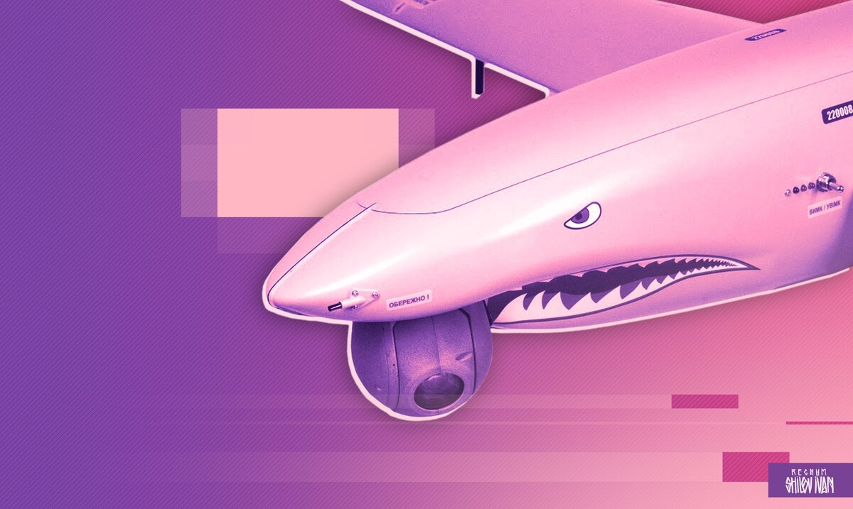    Украинский БПЛА / Источник: Иван Шилов (с) ИА REGNUM