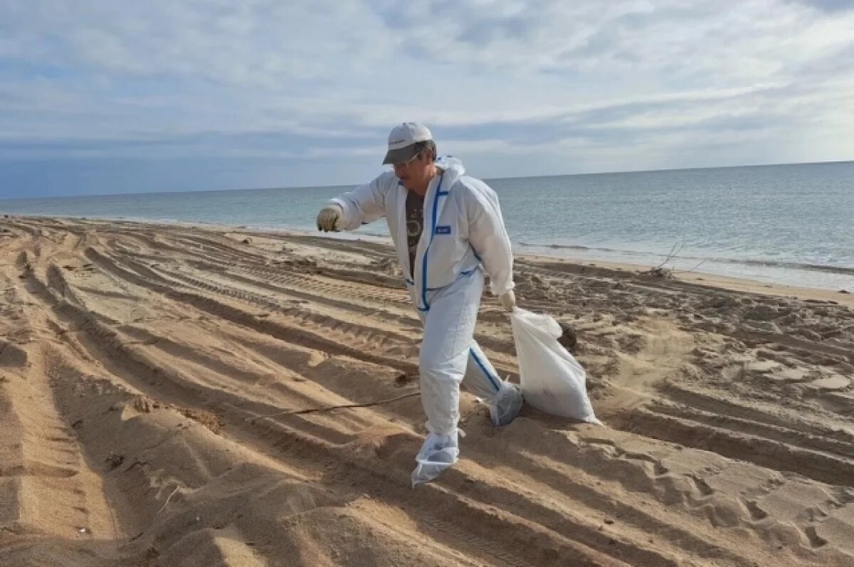    Волонтёры «Сети, сито, лопата» работают на Бугазской косе (Анапа)