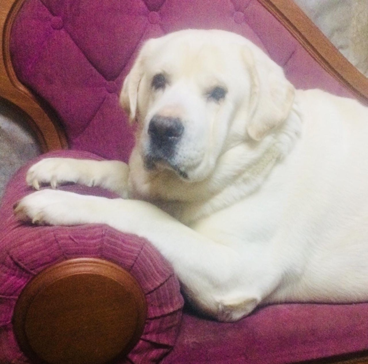 Фото предоставлено hornews.com