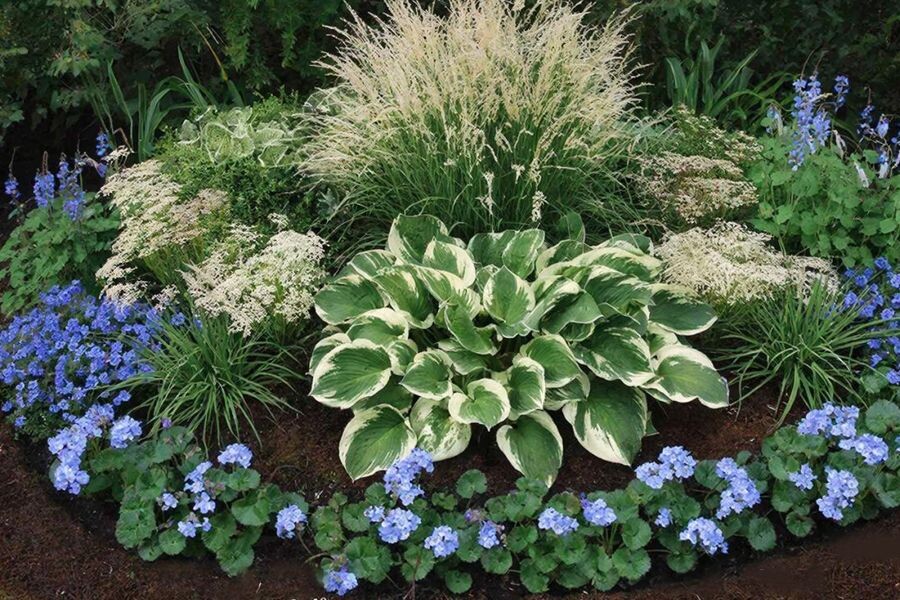 Схема круглого малоуходного цветника для полутени.  Иллюстрация создана нейросетью GigaChat по авторскому промпту.