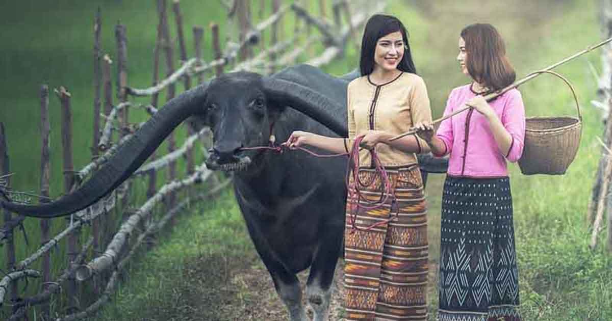 Современные стандарты красоты