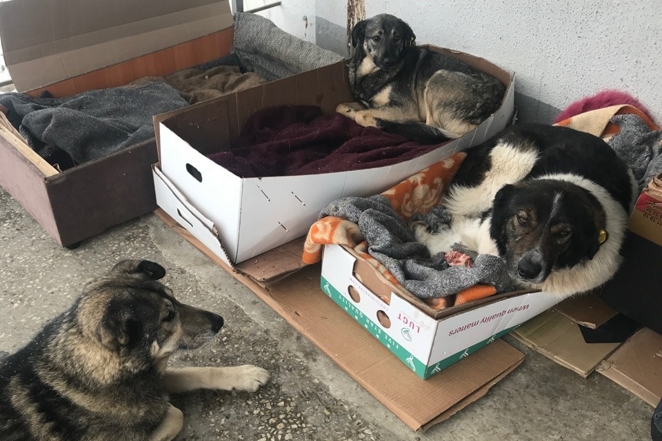    Павел Хацаюк / ИД «Вечерняя Казань»