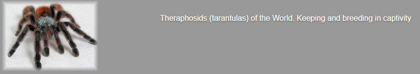 tarantulas.su