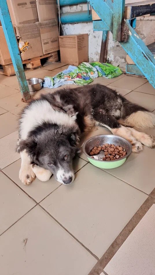 бЕЗ ИНФЕКЦИОННОГО СТАЦИОНАРА нас закроют и можно на аренду не собирать...