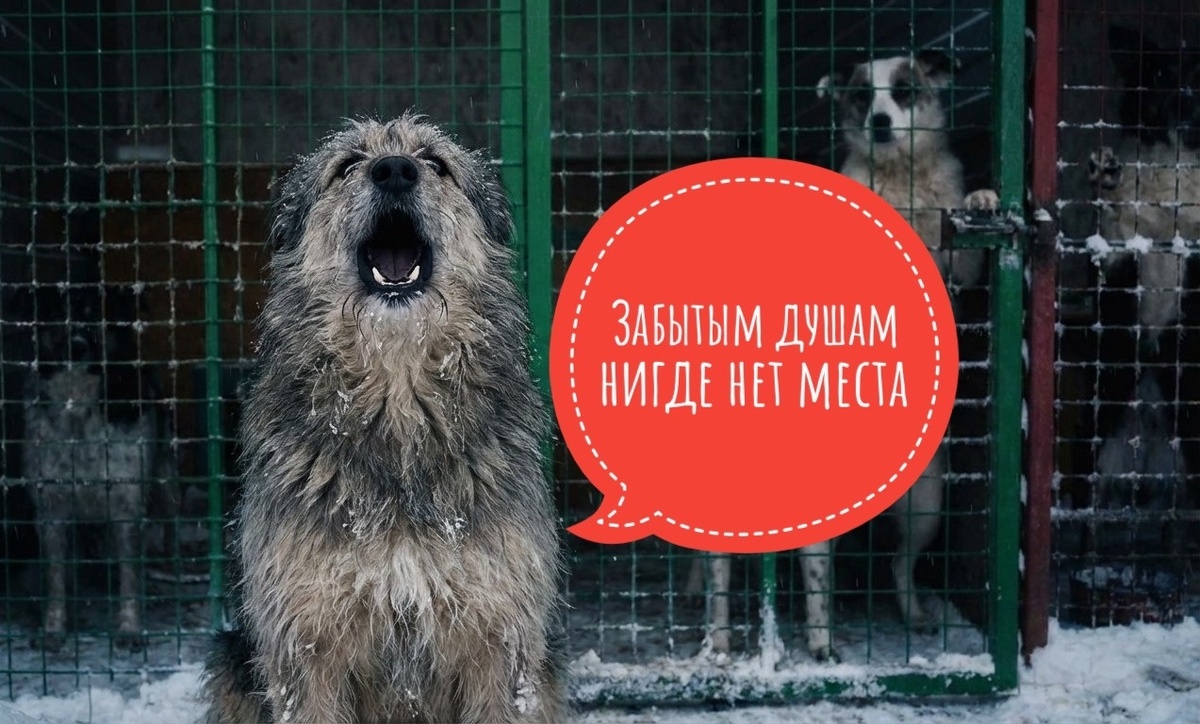 Мы собрали только 50% от необходимой суммы, душа болит ЗА ИНВАЛИДОВ!