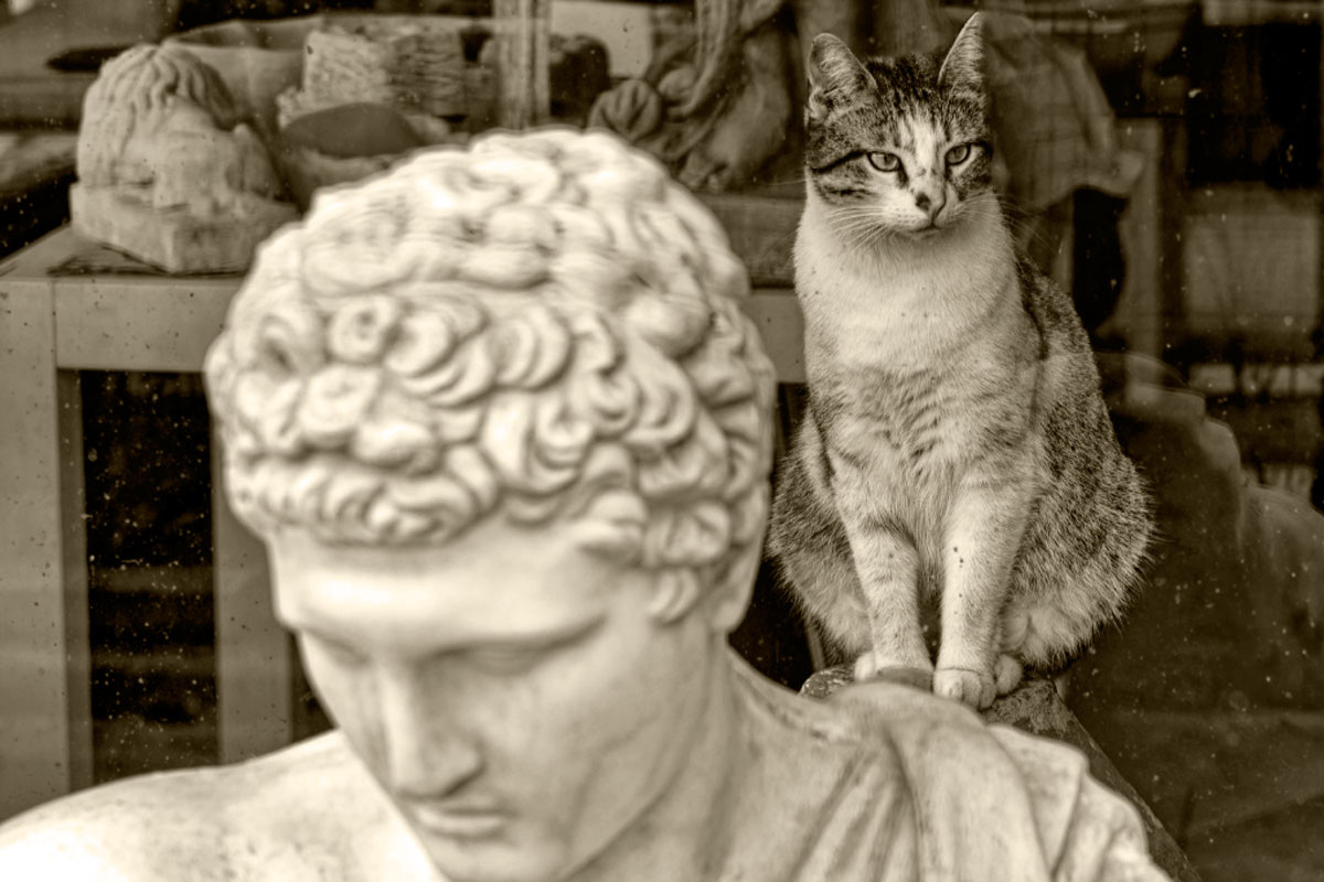 Истина познается умом, а не глазами