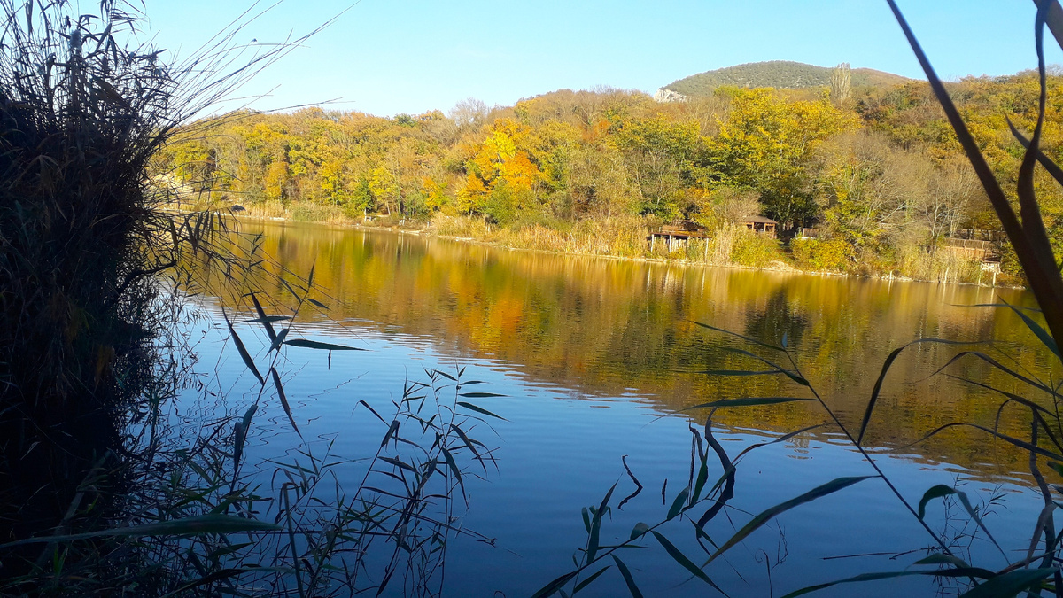 Торопова дача