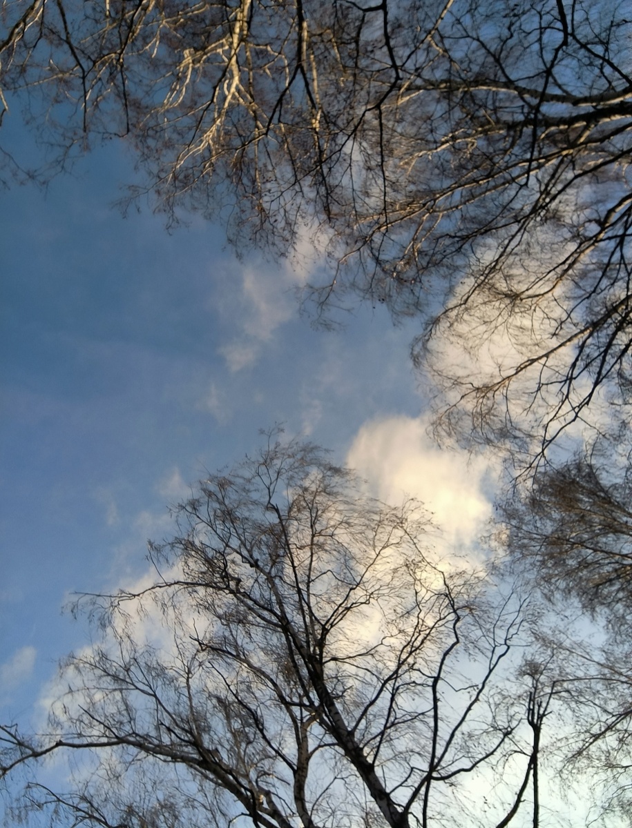 Фотографии в статье авторские