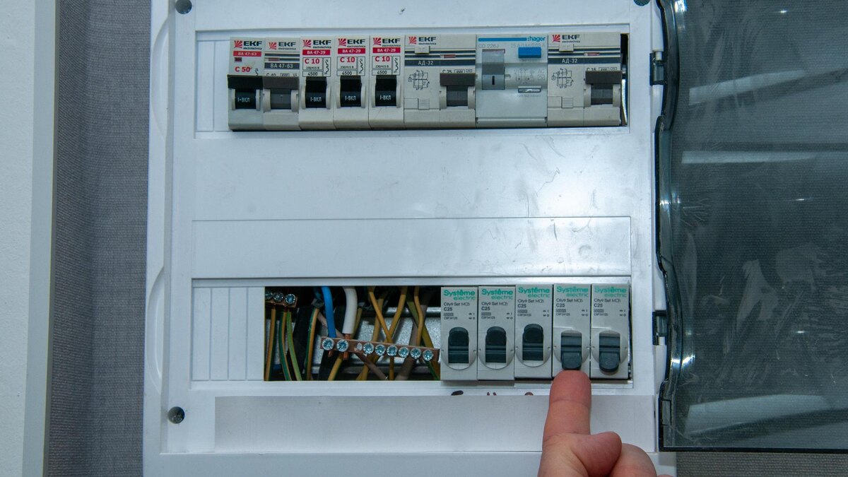    Фото: globallookpress/Svetlana Vozmilova