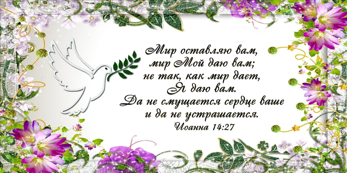 Из открытых источников Яндекса.