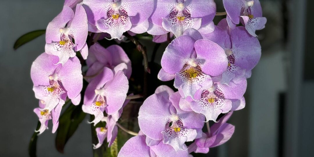 Доброе воскресное утро ✨ хорошего дня