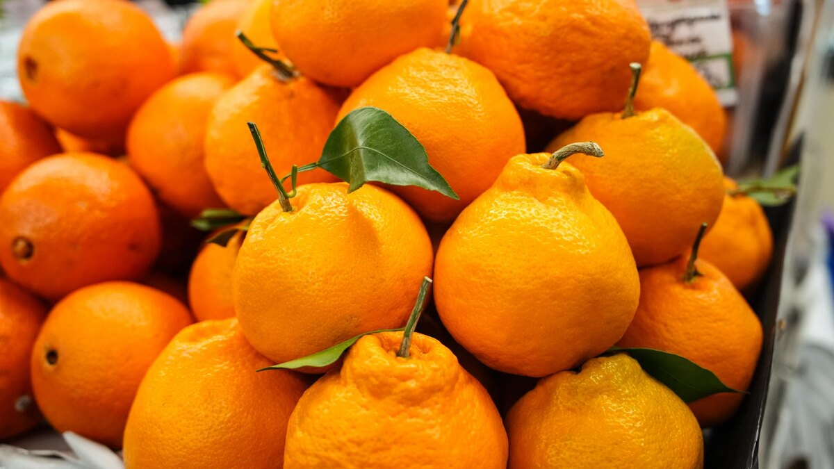 Фото: ИЗВЕСТИЯ/Сергей Лантюхов